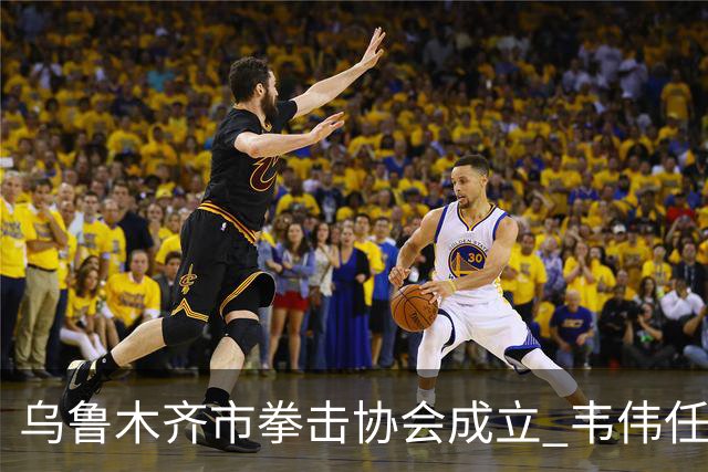 乌鲁木齐市拳击协会成立 韦伟任会长